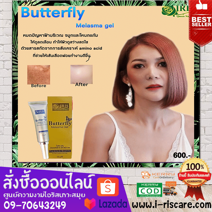 ปีกผีเสื้อ(ButterFly) - Image 7